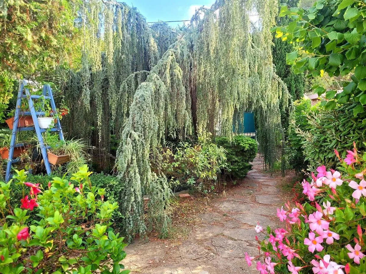 Holiday home Ecrin De Verdure De 45 M2 - Plage A 400M - Jardin, Parking Prive, Wifi Le Brusc France