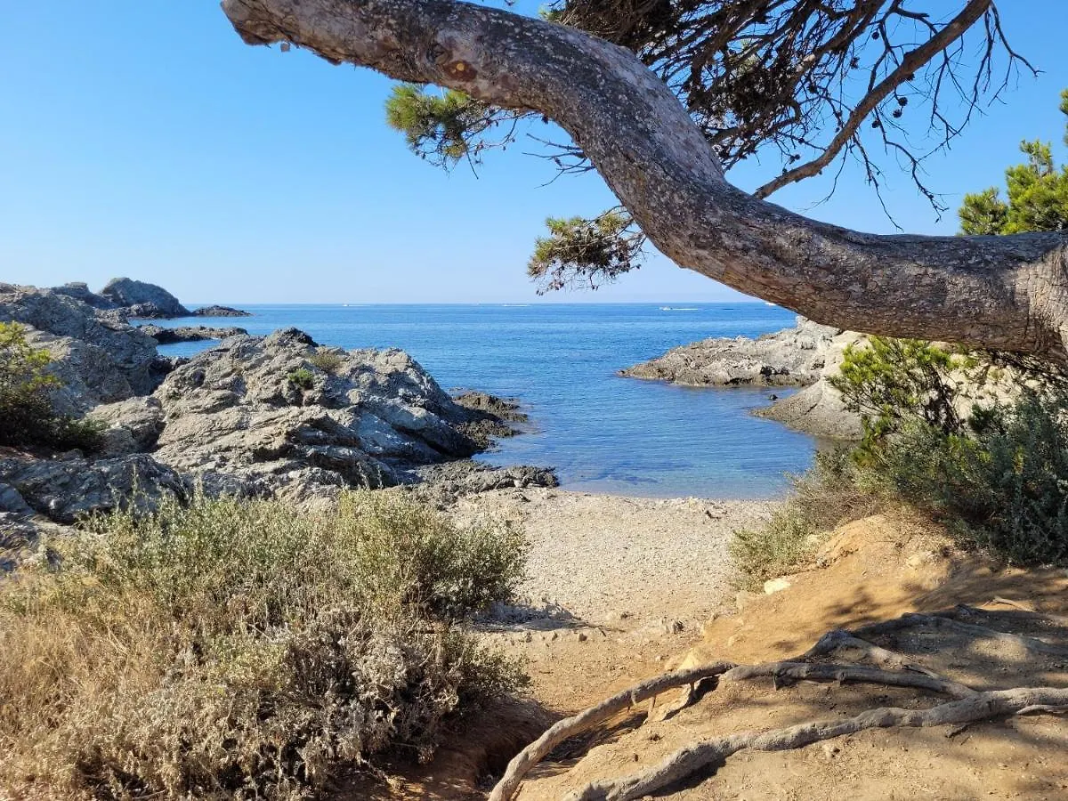 Holiday home Ecrin De Verdure De 45 M2 - Plage A 400M - Jardin, Parking Prive, Wifi Le Brusc
