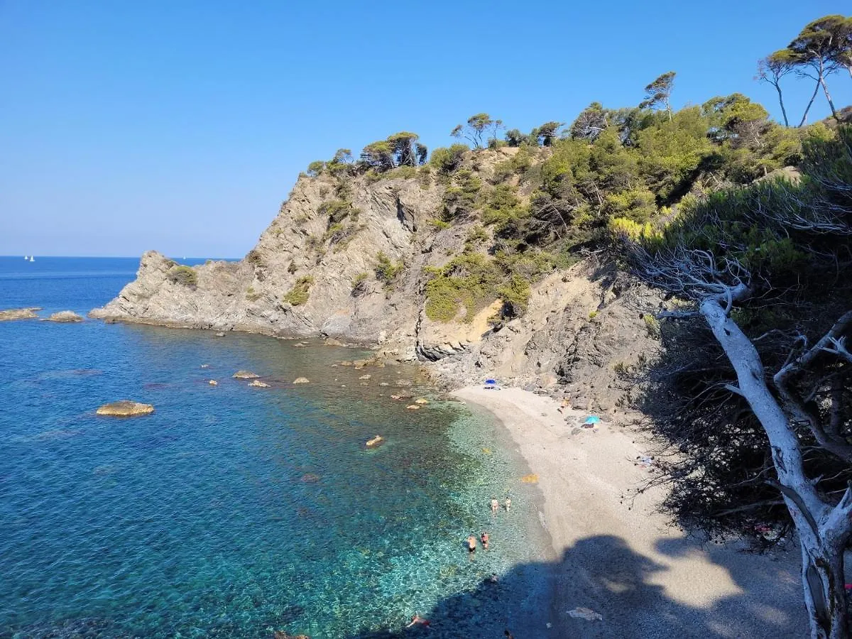 Ecrin De Verdure De 45 M2 - Plage A 400M - Jardin, Parking Prive, Wifi Le Brusc 0*,